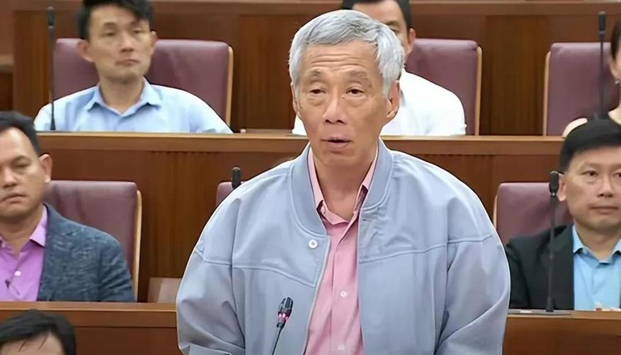 巴外长最新表态