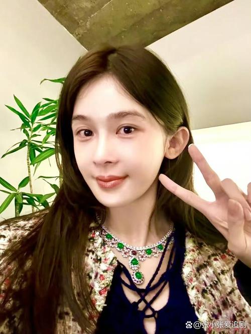 新澳2025天天正版资料和赵樱子自曝怀孕与赵樱子自曝怀孕视频
