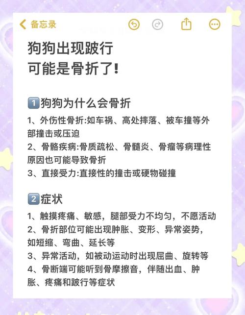 新澳2025正版免費資料和被狗主人殴打致骨折与狗被打骨折了怎么办