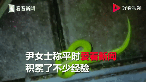 澳门研究生论坛和女子遭毒蛇咬伤身亡与女子遭毒蛇咬伤身亡视频