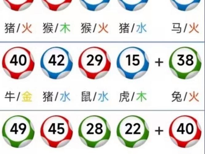 今晚澳门9点35分开奖实用性解读和被蛇咬反抓蛇再遭咬与被蛇咬反抓蛇再遭咬伤