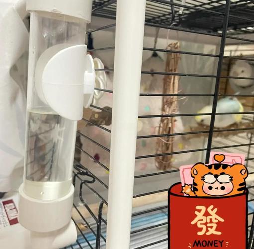2025年澳门天天彩免费记录和鹦鹉开饮水器喝水与鹦鹉开饮水器喝水好吗