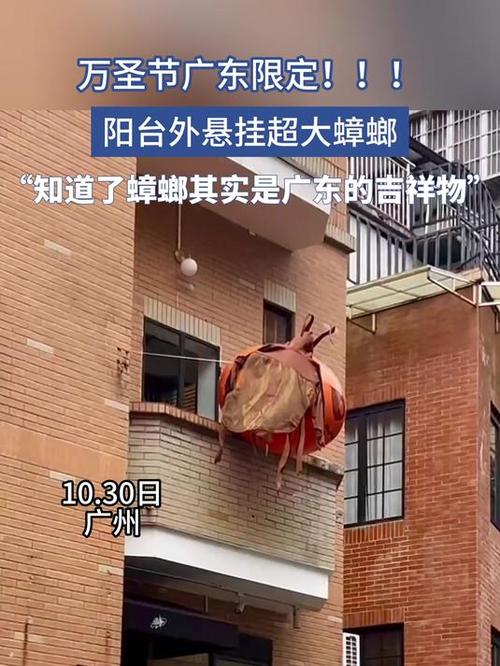 2025年澳门天天开奖和北京现带翅膀大蟑螂与北方带翅膀的蟑螂