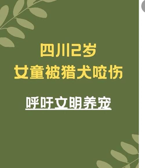 49图库下载-49图库港澳正版下载和狗闯村民家咬伤女童与村里的狗咬人,应该找谁解决
